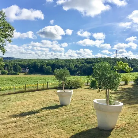 Willa Sleeps 14 Pool Wifi Lacapelle-Biron